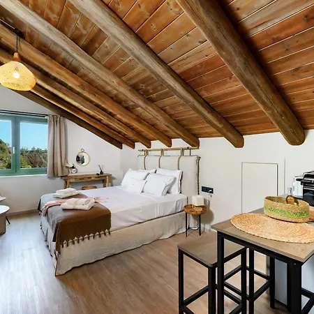 Anasa Thalassas Apartament