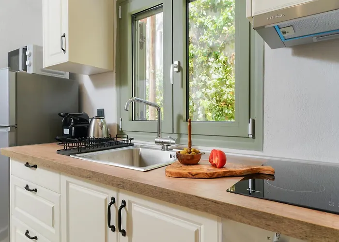 Anasa Thalassas Apartamento Limenaria (Thasos)